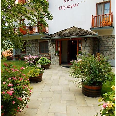 Hotel Olympic Metsovo Esterno foto