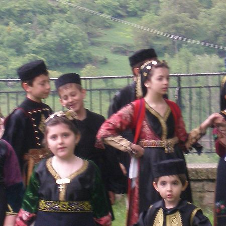 Hotel Olympic Metsovo Esterno foto