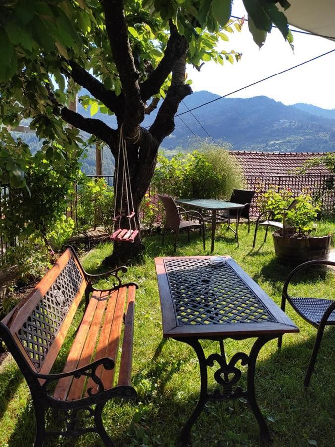 Hotel Olympic Metsovo Esterno foto