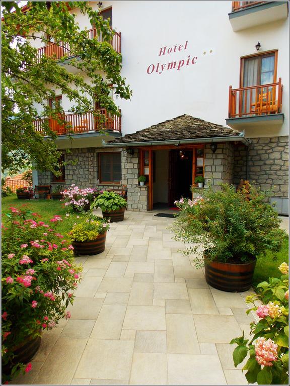Hotel Olympic Metsovo Esterno foto