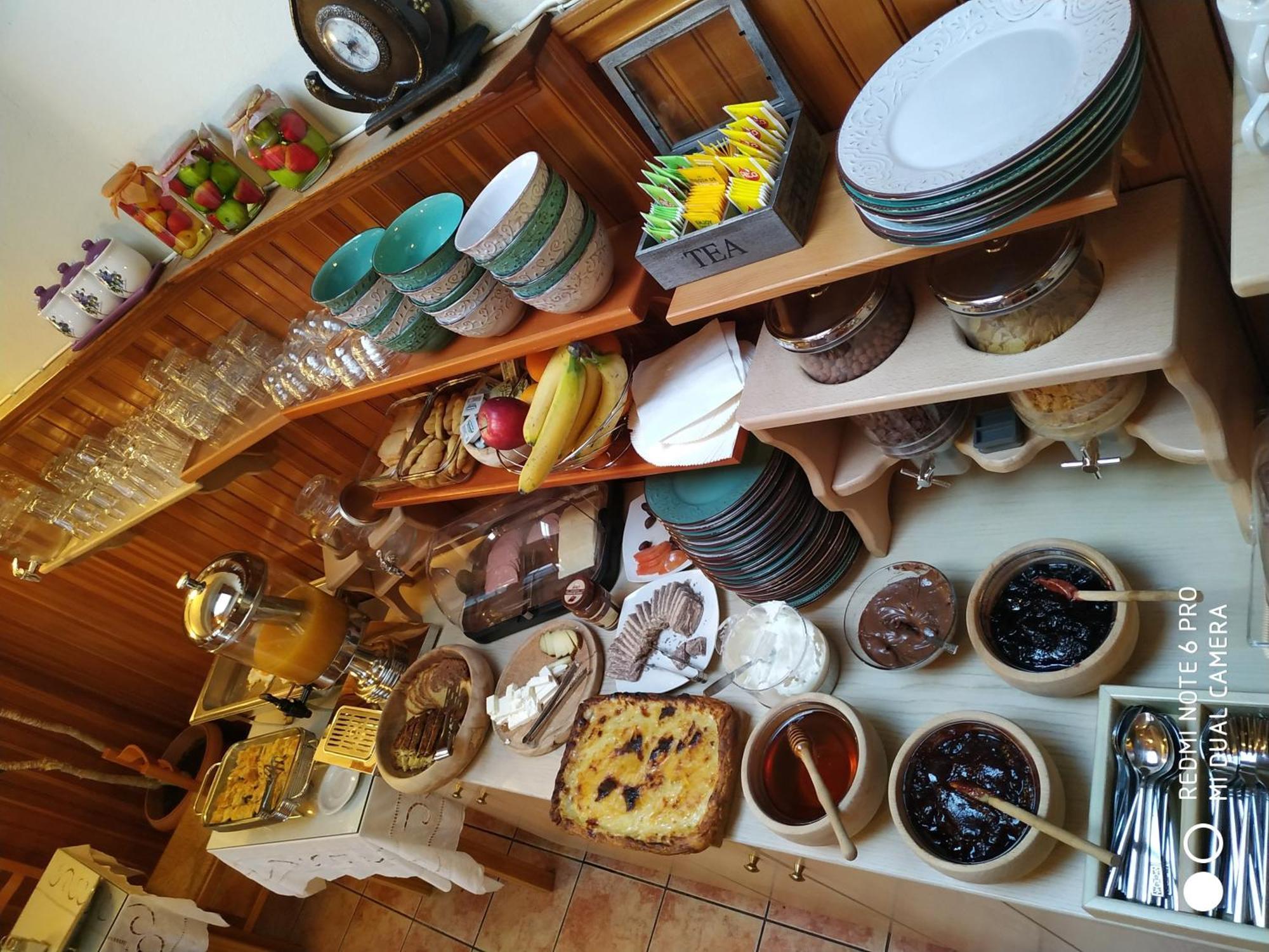 Hotel Olympic Metsovo Esterno foto