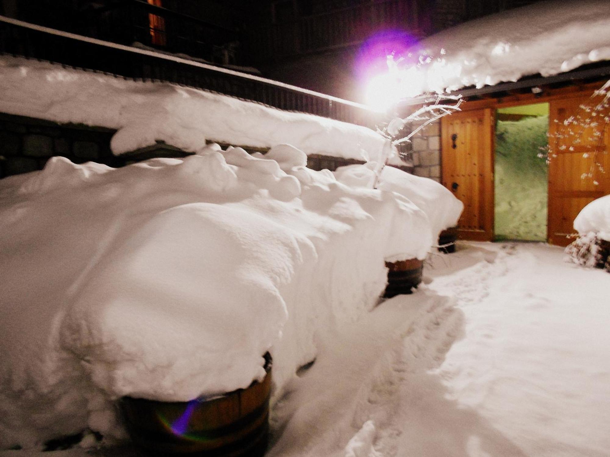 Hotel Olympic Metsovo Esterno foto