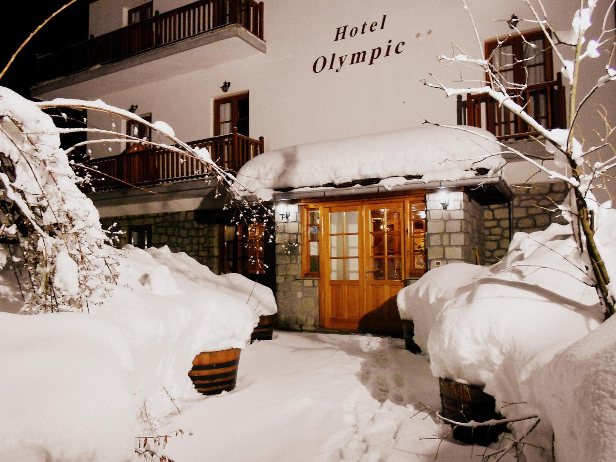 Hotel Olympic Metsovo Esterno foto
