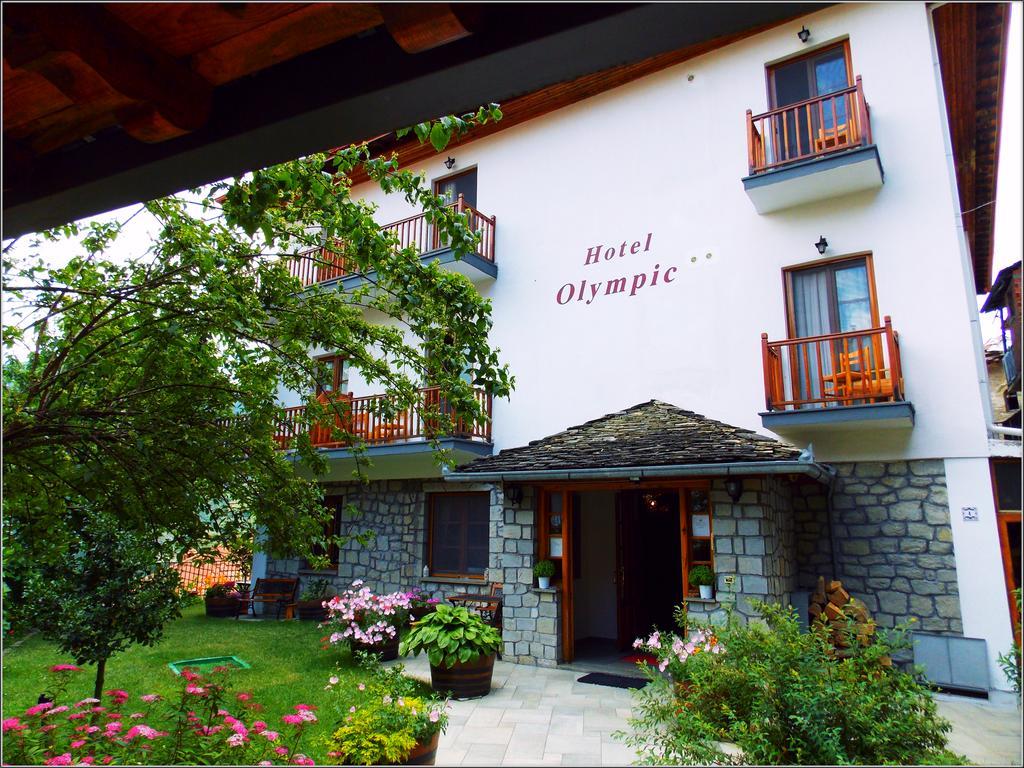 Hotel Olympic Metsovo Esterno foto