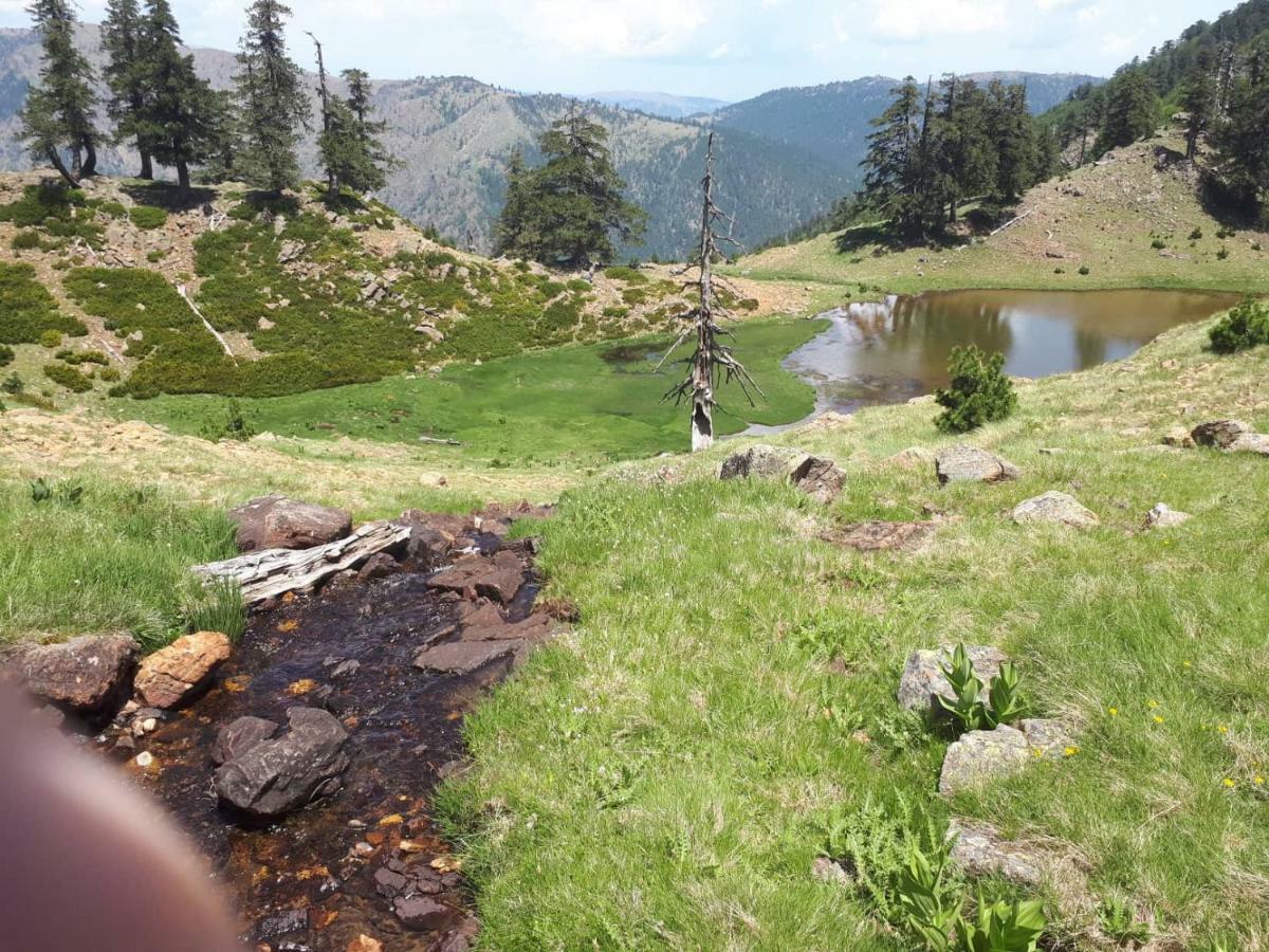 Hotel Olympic Metsovo Esterno foto