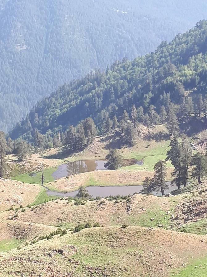 Hotel Olympic Metsovo Esterno foto