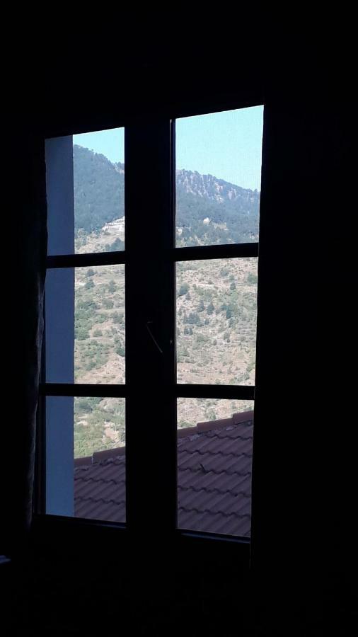 Hotel Olympic Metsovo Esterno foto